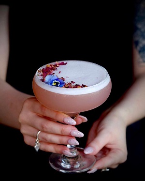 Cocktail Companion